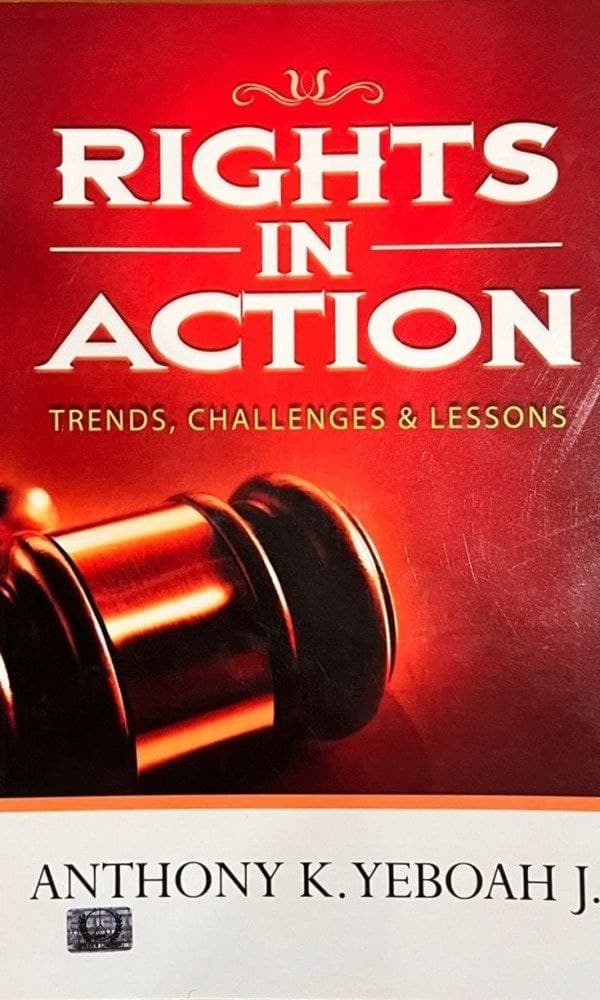Rights in Action: Trends, Challenges, and Lessons